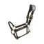 Kentucky Horsewear Anatomic Leather Halter Brown